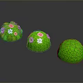 Decorative Spherical Green Plants Featuring Two With Pink And White Flowers One Plain