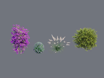 Various Types Of Shrubs Including Purple Flowering And Green Foliage Varieties 3d model