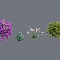 Various Types Of Shrubs Including Purple Flowering And Green Foliage Varieties