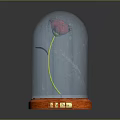 Pink Rose Under Glass Dome With Wooden Base And Golden Plaque