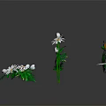 White Daisies with Green Leaves in Fresh Plant Arrangement on Reflective Surface