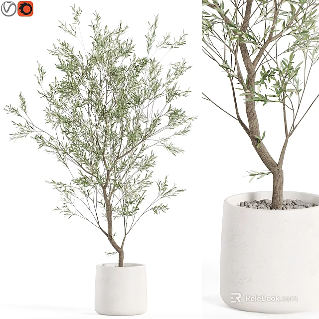Green Leafy Plant Decorative Ornament Set With Two White Pots For Indoor Home Decor 3d model 