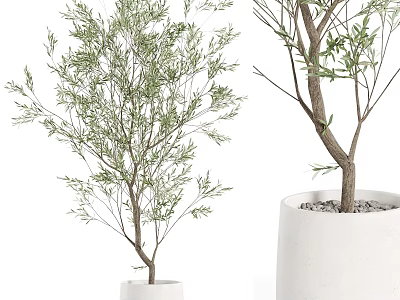 Green Leafy Plant Decorative Ornament Set With Two White Pots For Indoor Home Decor 3d model