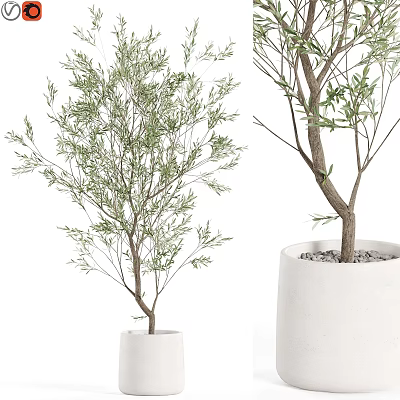 Green Leafy Plant Decorative Ornament Set With Two White Pots For Indoor Home Decor 3d model