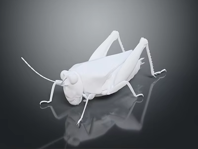 White Grasshopper Model With 3D Design On Dark Background And Reflection 3d model