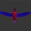 Colorful Bird with Red Body Blue Wings and Black Head on Gray Background
