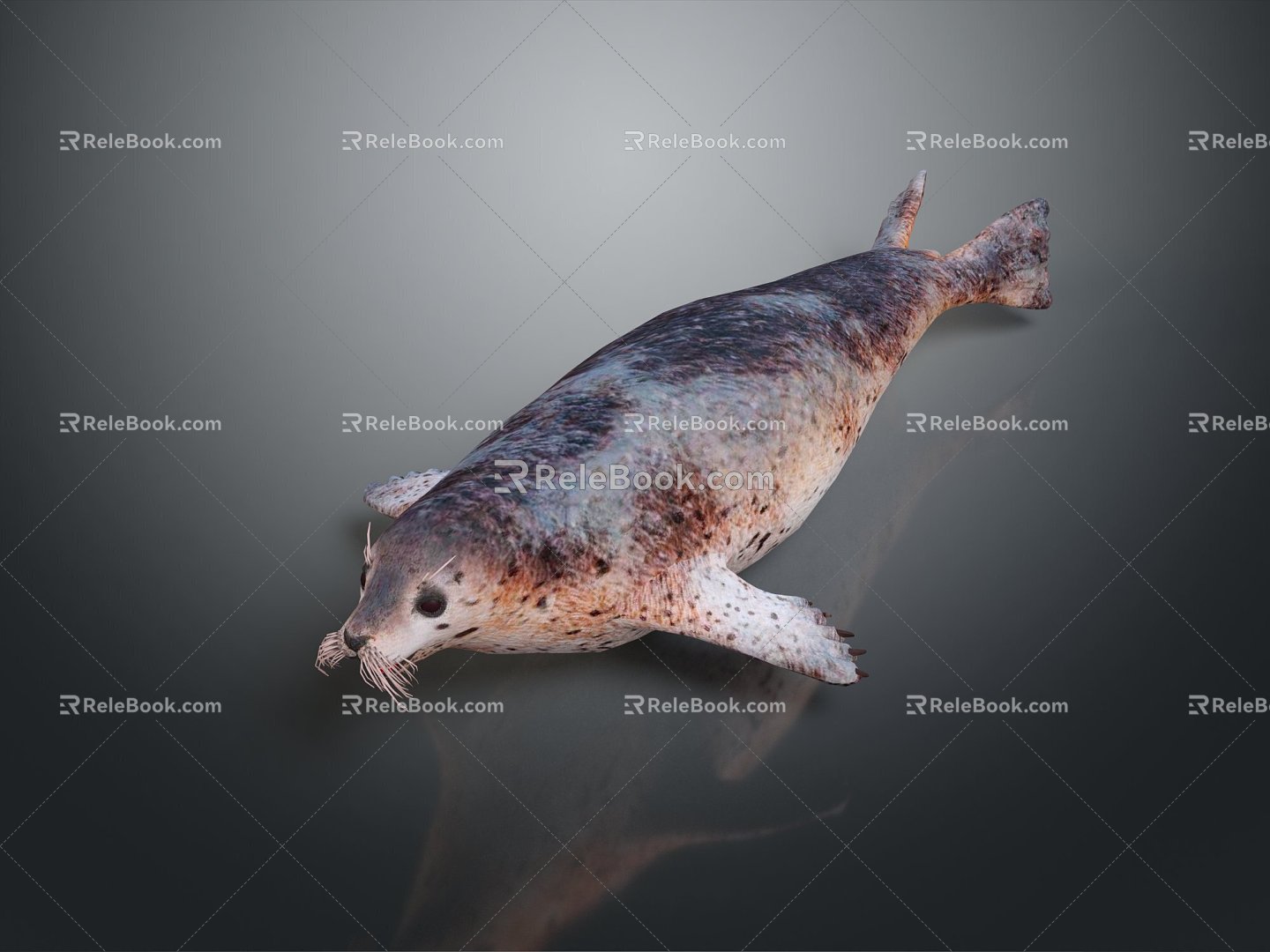 Modern Seal Marine Animal Anime Character Game Character 3d model