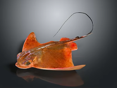 Vibrant Orange Stingray With Long Tail And Flat Body On Dark Background 3d model
