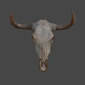 Weathered Bull Skull Against Blue Sky With Dry Land And Trees