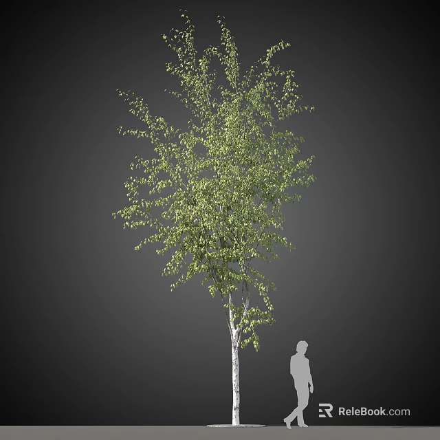 Lush Green Leaf Arbor With White Trunk And Human Silhouette For Scale 3d model 
