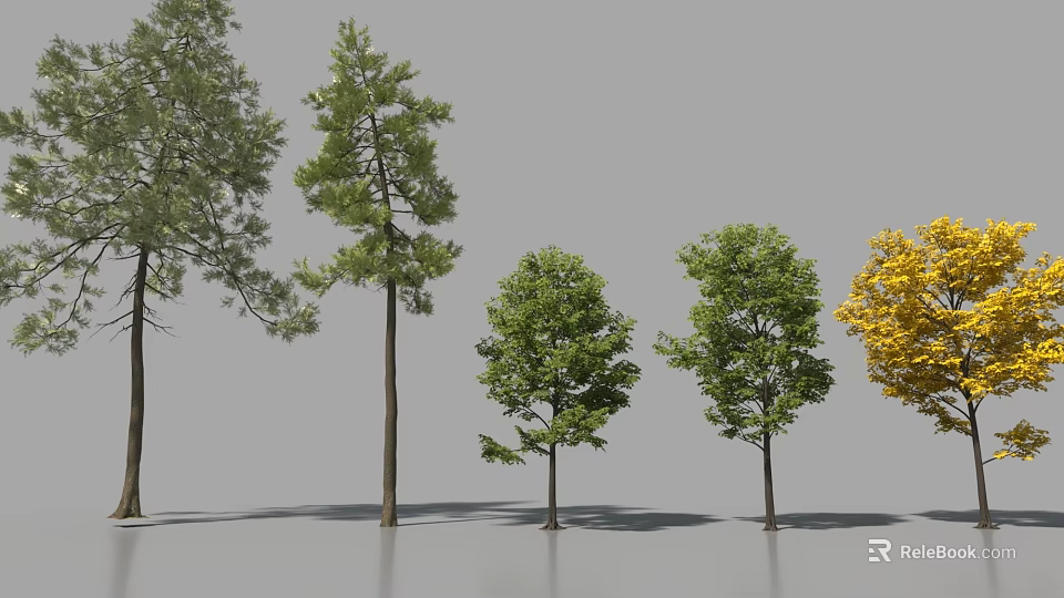 Various Arbor Trees With Different Heights Green Yellow Leaves And Crown Shapes 3d model 