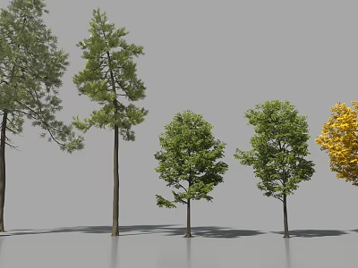 Various Arbor Trees With Different Heights Green Yellow Leaves And Crown Shapes 3d model