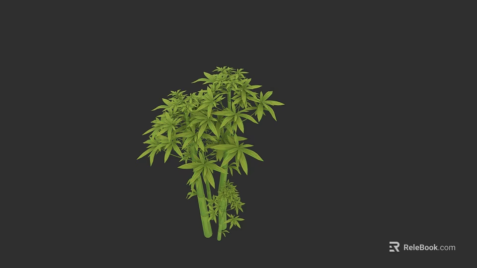 Lush Green Bamboo Plant With Multiple Branches And Slender Leaves Growing In Dark Background 3d model 