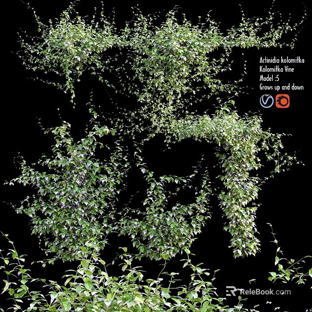 Lush Green Climbing Live Plant With Dense Foliage For Outdoor Shade 3d model 