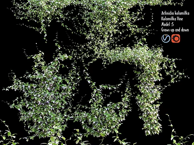 Lush Green Climbing Live Plant With Dense Foliage For Outdoor Shade 3d model