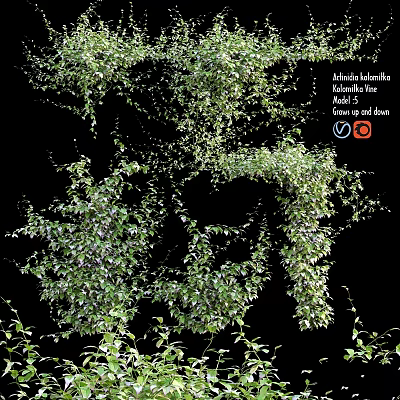 Lush Green Climbing Live Plant With Dense Foliage For Outdoor Shade 3d model