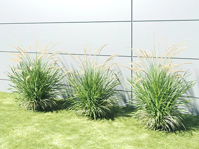 Green Shrubs Growing On Lush Grass Lawn Against Gray Wall Background 3d model