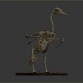 Detailed Bird Skeleton Anatomical Display With Long Neck Beak On Wooden Base