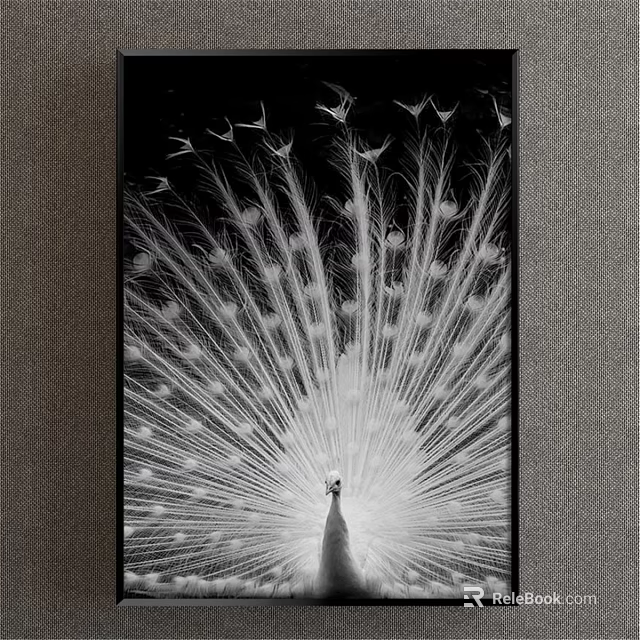 Black and White Peacock Animal Painting with Spread Tail Wall Decor 3d model 