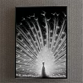 Black and White Peacock Animal Painting with Spread Tail Wall Decor