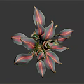 Cartoon Scene Colorful Plant Featuring Red Pink Leaves Green Stems Yellow Decorations On Black Background