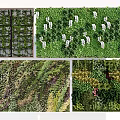 Elegant Living Wall Design With Various Green Plants And Decorative Elements