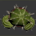 Cute cartoon cactus plant featuring big eyes red pot green feet and LOVE HUGS text