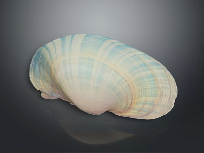 Human Outer Ear Organ Featuring Blue White Striped Pattern And Smooth Shiny Texture 3d model