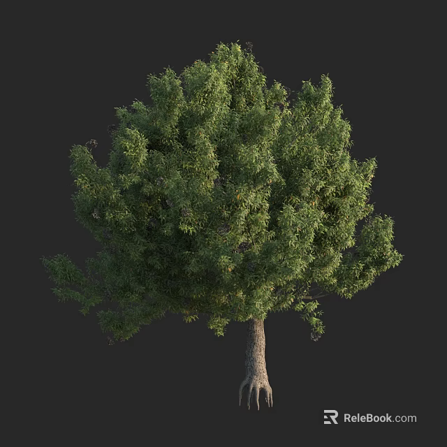 Lush Green Arbor With Dense Foliage And Thick Trunk Isolated On Dark Background 3d model