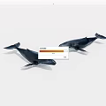 Two Sleek Black Whales Displayed Against White Background With Realistic Details