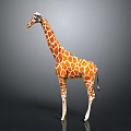 Realistic Giraffe Model With Orange And White Spots Standing On Gray Background