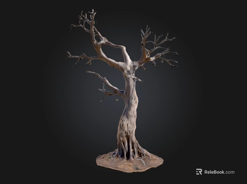 Detailed Leafless Tree with Thick Trunk and Exposed Roots on Dark Background 3d model 