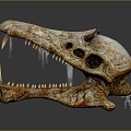 Modern Skull Animal Skull Fossil Skull Skeleton 3d model