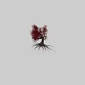 Red Leaf Ornamental Tree With Exposed Roots Lush Foliage And Distinctive Trunk 3d model