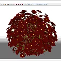 Beautiful Vibrant Red Flowers in Spherical Floral Arrangement with Yellow Centers