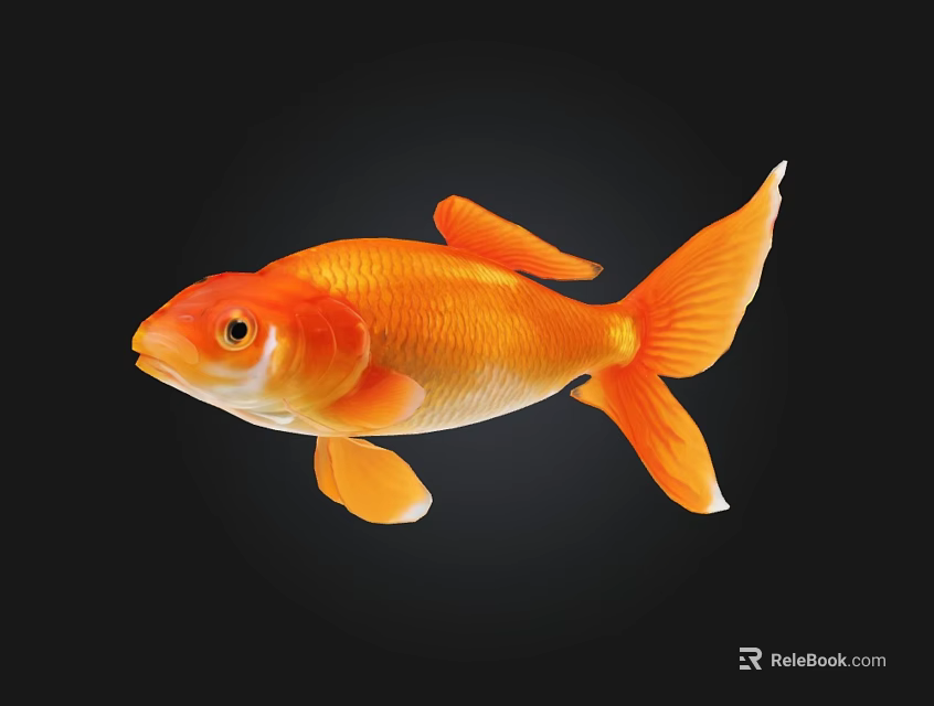 Vibrant Orange Goldfish Swimming With Bright Fins And Tail On Black Background 3d model 