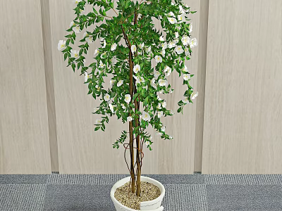 Bonsai Potted Plant With Green Leaves White Flowers In White Pot For Indoor Decor 3d model