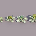 Fresh Broccoli Vegetables in Different Sizes with Green Florets and Leaves on Gray Background