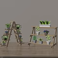 Wooden Ladder Style And Multi Tier Shelving Units With Potted Plants For Indoor Decor