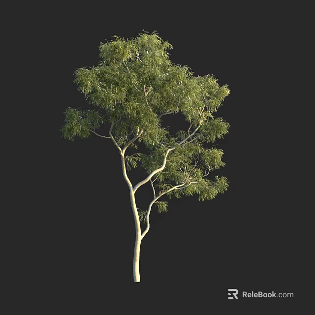 Tall Arbor Tree With Lush Green Foliage And Slender Trunk Structure 3d model