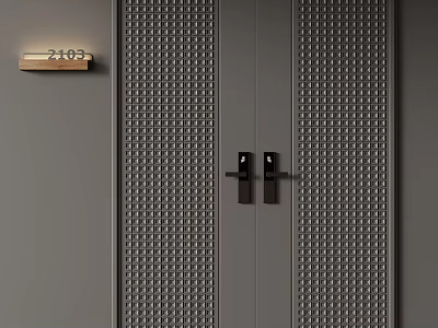 Modern Double Doors With Grid Pattern And Dark Gray Residential Entry 3d model