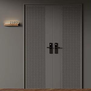 Modern double door 3d model