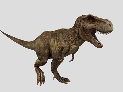 Reptile Tyrannosaurus Rex with Open Mouth Sharp Teeth and Strong Muscular Body 3d model