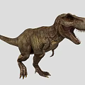 Dinosaur Tyrannosaurus Rex 3d model
