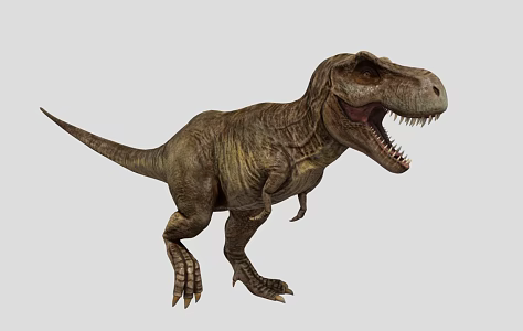 Dinosaur Tyrannosaurus Rex 3d model