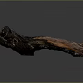 Natural Plant Wood Trunk with Dark Background and Rich Brown Textured Surface