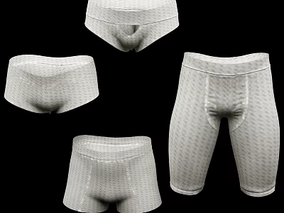 Men's Underwear Different Styles Light Colored Textured Fabric Briefs And Boxers 3d model