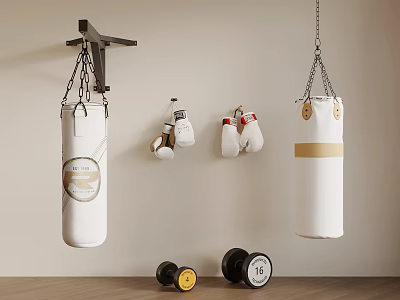 Wall Mounted Punching Bags Boxing Gloves And Dumbbells In Home Gym Setup 3d model