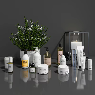 Bathroom Accessories Set With Various Bottles Green Plant And Candle Containers 3d model