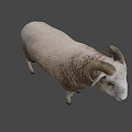 Realistic Game Movie Character Sheep With Curved Horns And Brown Wool